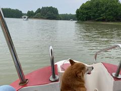 -上海海湾国家森林公园