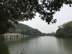 -李小龙乐园(顺德均安店)