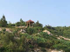 -广东惠东海龟国家级自然保护区