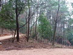 -青龙山国家森林公园