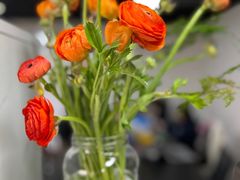 -万达广场(南宁青秀店)