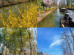 -合肥滨湖国家森林公园