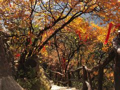 -秦岭终南山世界地质公园翠华山景区