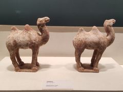 -隋唐大运河文化博物馆