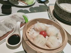 -新兴·金羊座·粤菜点心(乐峰店)