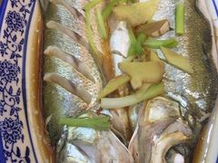 -老马家·舌尖上的西塘美食