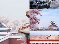 -颐和园