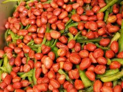-简心素爱素食自助餐厅
