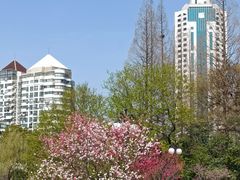 -南通濠河风景名胜区