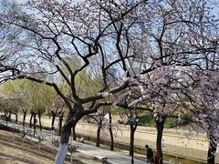 -海棠花溪(元大都城垣遗址公园)
