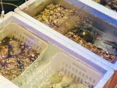 -協成海鮮火鍋(老店)