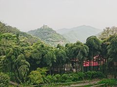 -莫干山风景区