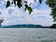 -杭州君悦酒店·青莳