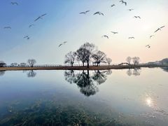 -苏州太湖国家湿地公园
