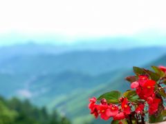 -莫干山风景区