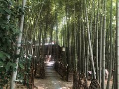 -宝岩生态观光园