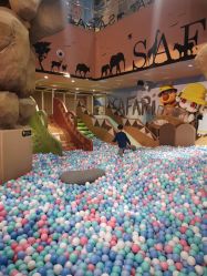 -卡通尼·Safari非洲探索乐园·生日会(金桥国际商业广场店)