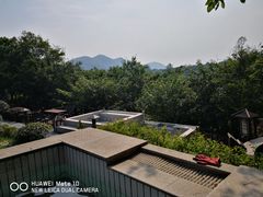 -汤山温泉房车营地 茶温泉