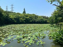 -八卦田遗址公园