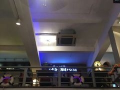 -猫咪博物馆(顶澳仔猫街店)