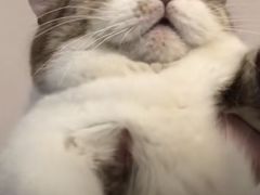 -老季市·三代非遗传承·地标美食老汁鸡(工农路店)