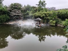 -水绘园