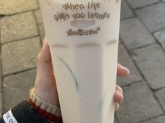 -猫的魔法密林(衣裳街店)