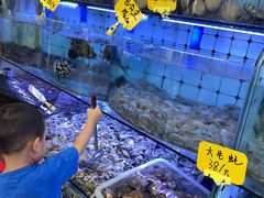 水产区-日照大牌檔•小船海鲜(万平口店)