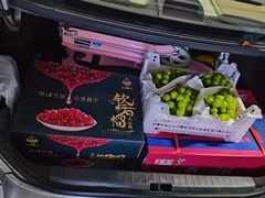 -西郊国际农产品交易中心