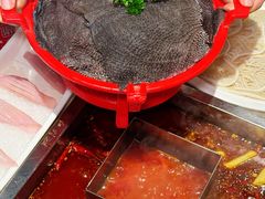 -红鼎坊·老成都火锅(新南门店)
