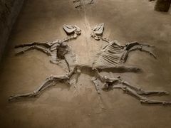 -洛阳周王城天子驾六博物馆