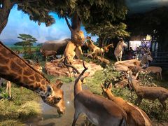 -国家自然博物馆