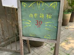 -猫色咖啡·猫咖