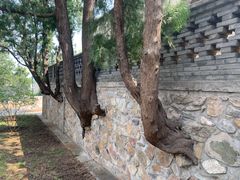-香山公园