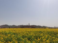 -西海岸生态观光园