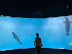 -青岛海底世界-水族馆