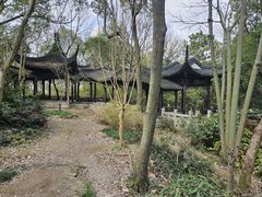 -上海佘山国家森林公园天马山园