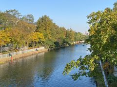 -新江湾城公园