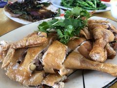 茶油鸡-荔枝园美食山庄(贞山风景区店)