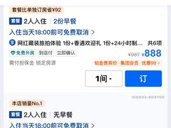 -布达拉宫
