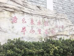 -老幺泉水鸡