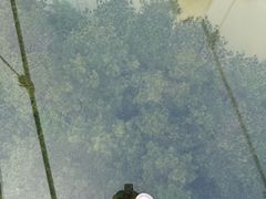 -盈香心动乐园