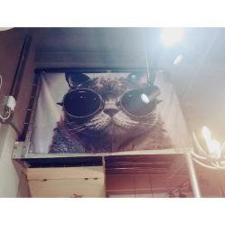 -幸运7纹身刺青Lucky7tattoo