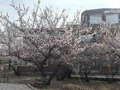 -大连北马山庄