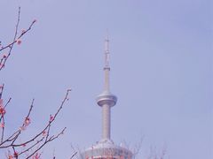 -南京古林公园