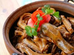 -屯昌枫木香草鸭(羊栏店)