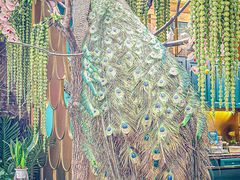 -雀蓝川菜(奥体广场店)