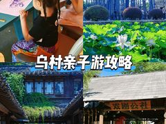 -乌村