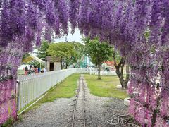 -长洲岛都市农业公园