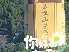 -丰都鬼城名山景区